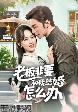 老板非要和我结婚怎么办