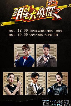 大侦探 第十一季