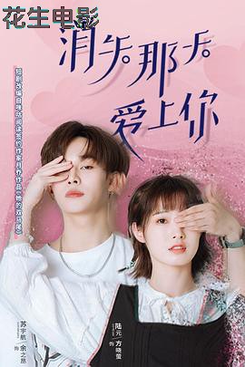 消失那天爱上你